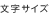 文字サイズ